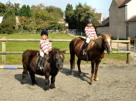 Ponies and Children