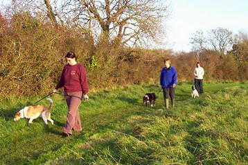 Barnlake House - Exercise for boarders