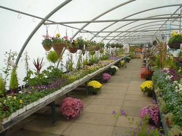 bedding tunnel