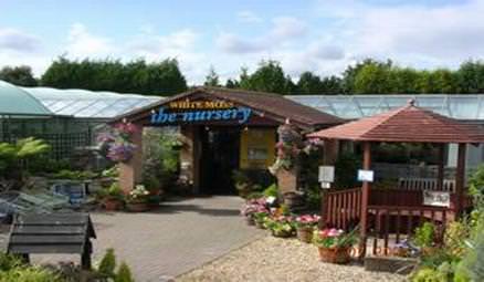 White Moss Nursery & Garden Centre