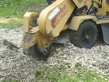 Stump Grinding