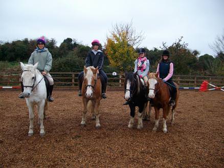 Students and horses