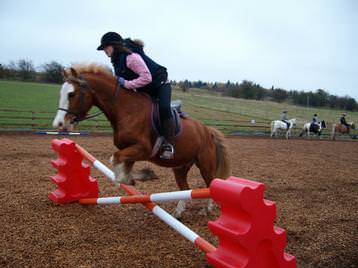 Jumping Merlin