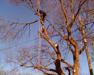 Wires and obstacles , no problem.