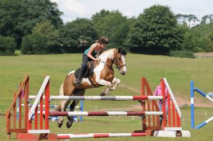 Showjumping at Hollyfast