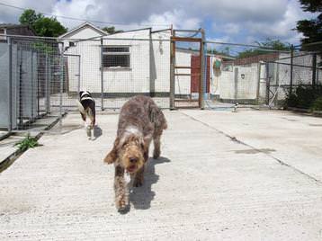 Cassie and Sharna on a long stay