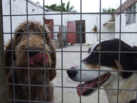 Cassie and Sharna waiting for tea