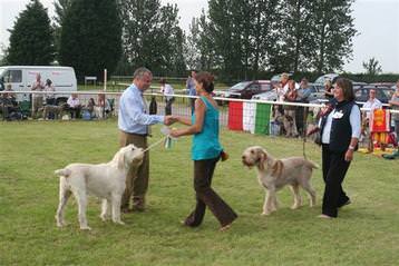 Sh Ch K Mala winning BIS iscgb2007