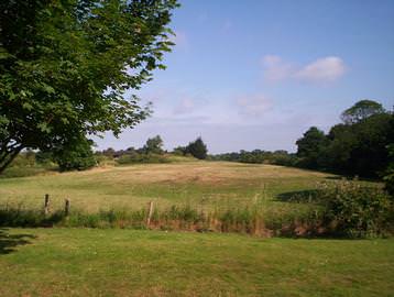 View from the paddock