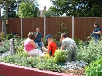 in the garden