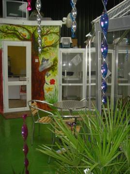Inside view of the cattery