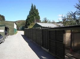 Pantymilah Kennels