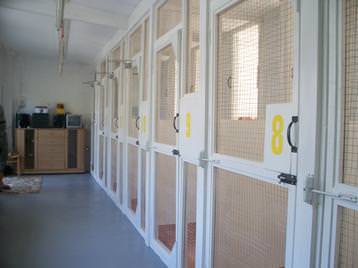 Inside the Cattery
