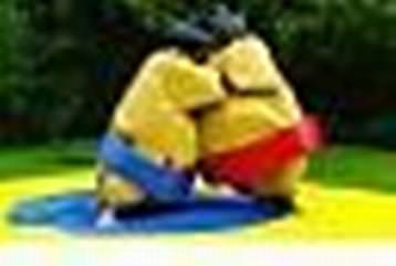 Sumo Suits