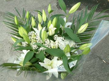 white lilies from £25