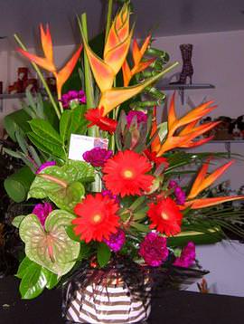 Tropical Arrangement