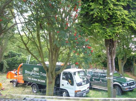 Specialist Tree Surgery