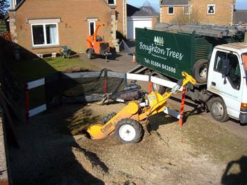 Stump Grinding