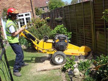 Stump grinding