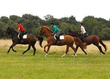 Horse Riding on Wimbledon Common