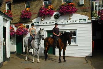 Wimbledon Village Stables