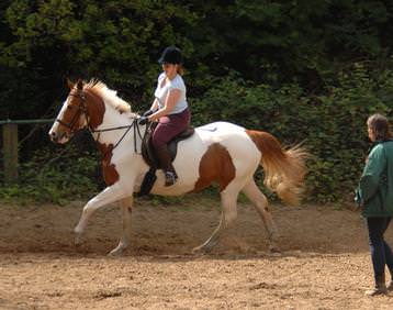 Horse Riding  Lessons in London