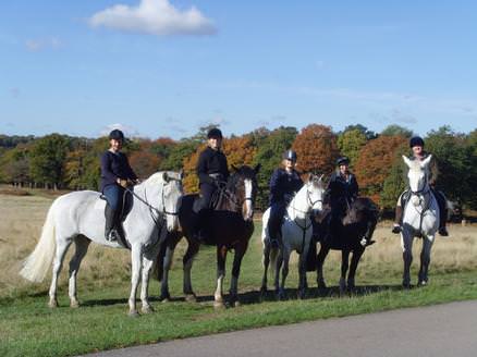 Horse Riding in Richmond Park