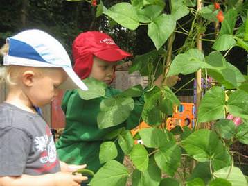 Learning about gardening and vegetables