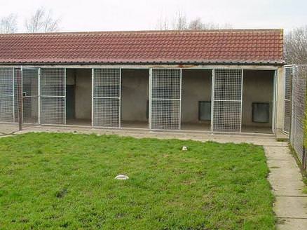 grassed area with covered run into kennel