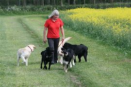 Group exercising