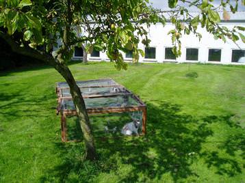 A view of our cattery from Reception.