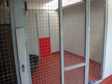 inside dog pens