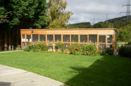 Bwlchgwyn Cattery