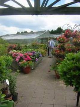 Our Garden Centre