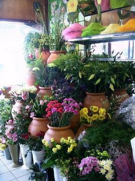 Choice variety of quality flowers
