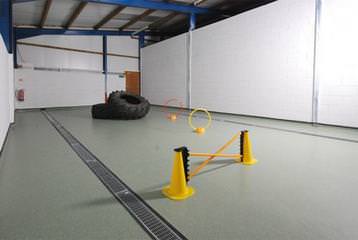Our Inndoor agility play arena