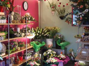 Shop interior - wide range of gifts