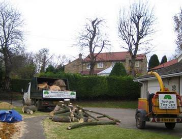 Cater for all aspects of tree and hedge work