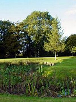 11th green over pond