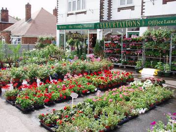 Fleurtations Summer Exterior