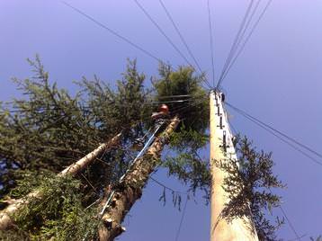 Dodging the wires 