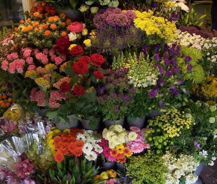 We carry a large stock of top quality flowers