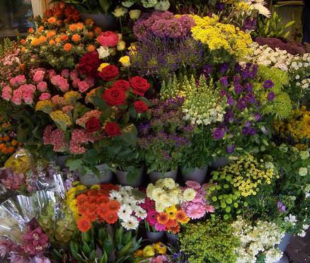 We carry a large stock of top quality flowers