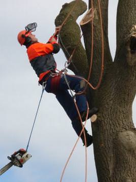 Fully Qualified Climber in action