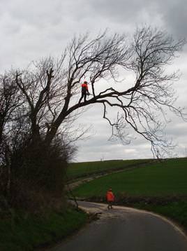 Roadside removal