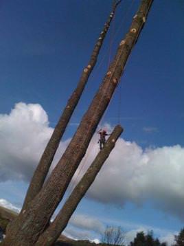 Large Poplar dismantle in the Rhonnda