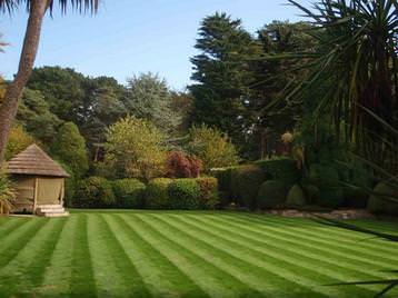 Hedge trimming, Broadstone, Poole