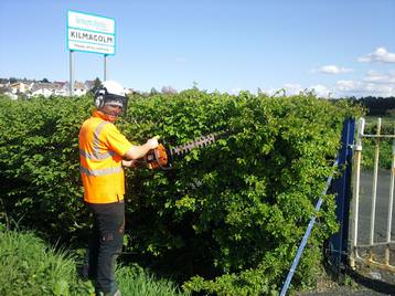 Hedge Trimmming