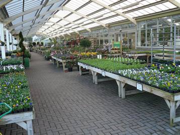 wide isles at Cheddar Garden Centre