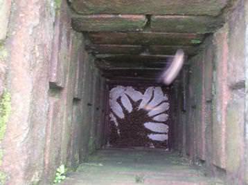 bees nesting inside a chimney stack.